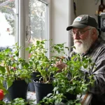 Mars est le moment clé pour ces semis, voici pourquoi tant de jardiniers les ratent